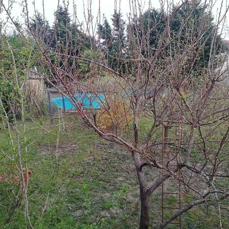 Camomilla Daire Ravenna Dış mekan fotoğraf