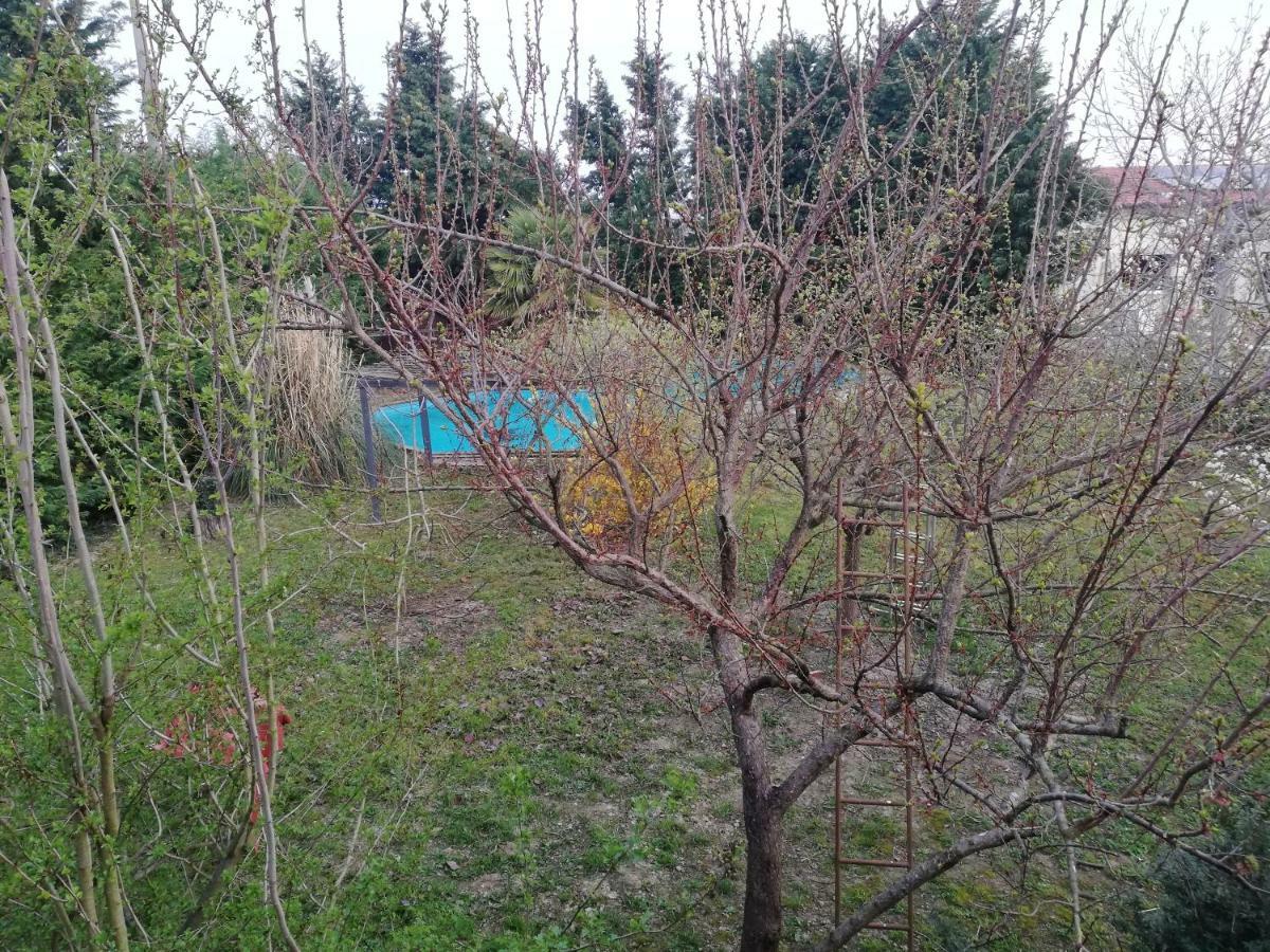 Camomilla Daire Ravenna Dış mekan fotoğraf