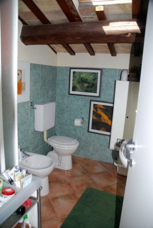 Camomilla Daire Ravenna Dış mekan fotoğraf